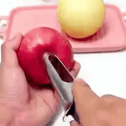 Obuolių sėklų išėmėjas