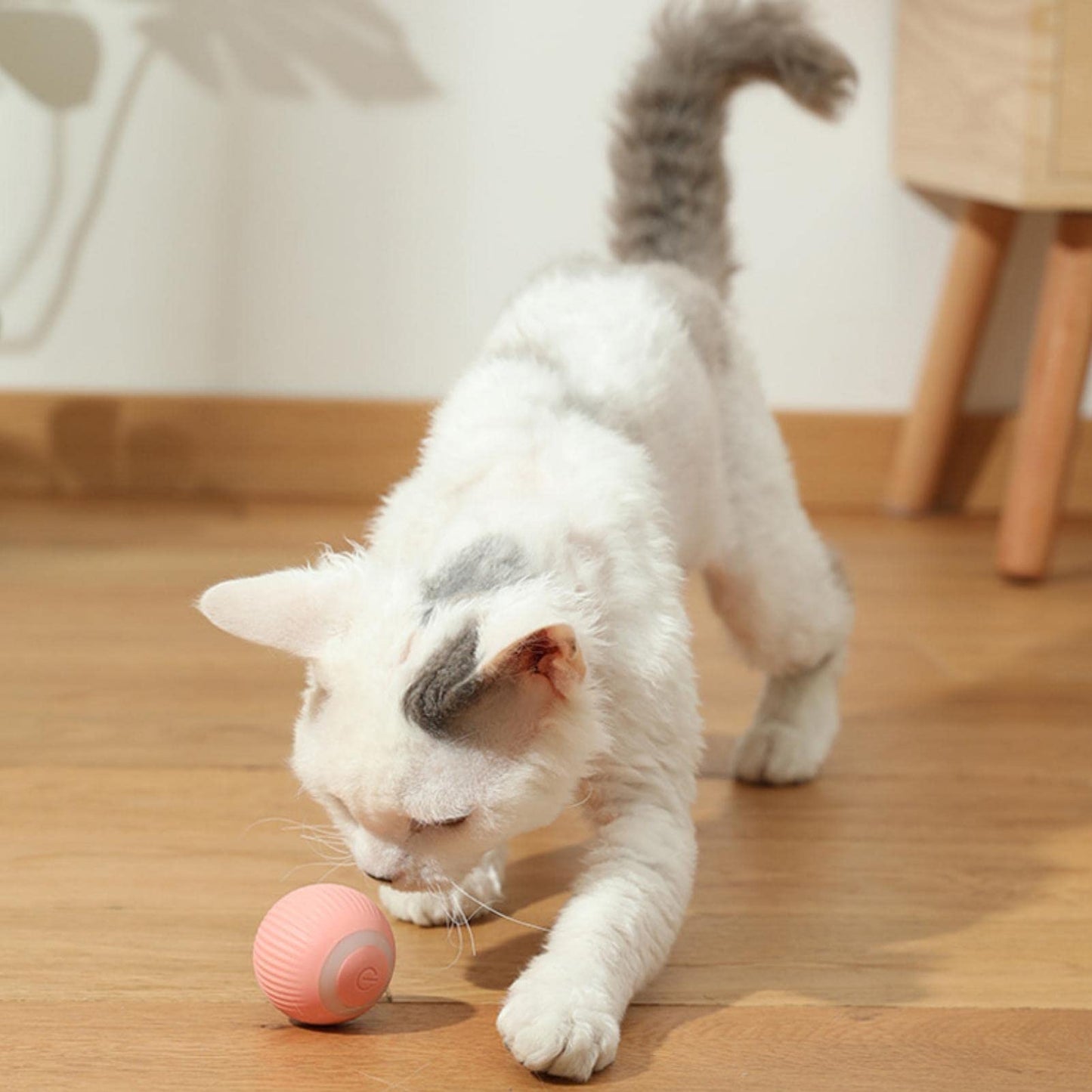 MeowMotion® - išmanusis kamuoliukas katėms ir šunimis