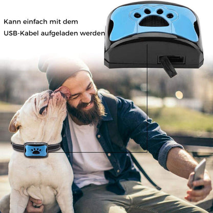 USB laidu įkraunamas mėlynas antkaklio modulis šalia šuns