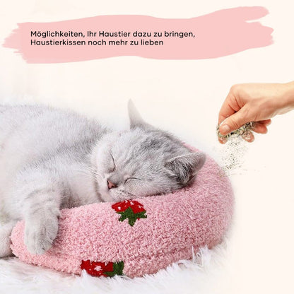 Pilka katė miega ant rožinės pagalvėlės, šalia ranka su žolelėmis