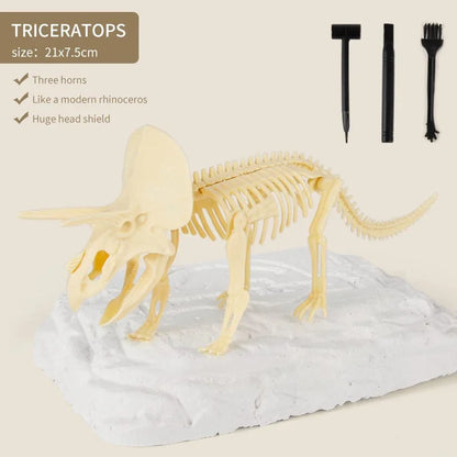 Kūrybinis rinkinys - "Priešistorinis dinozauras" – triceratopso skeletas su įrankiais