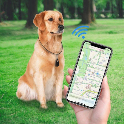 GPS sekimo įrenginys augintiniams – bendras vaizdas, mėlyna variantas