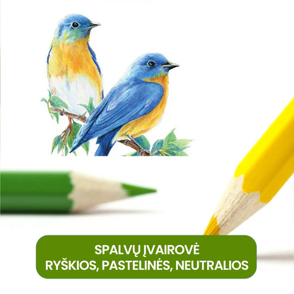 Aliejinių pieštukų rinkinys – šoninis vaizdas