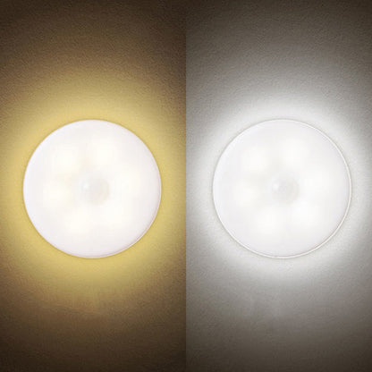Šiltos ir baltos šviesos apvalių LED lempučių palyginimas