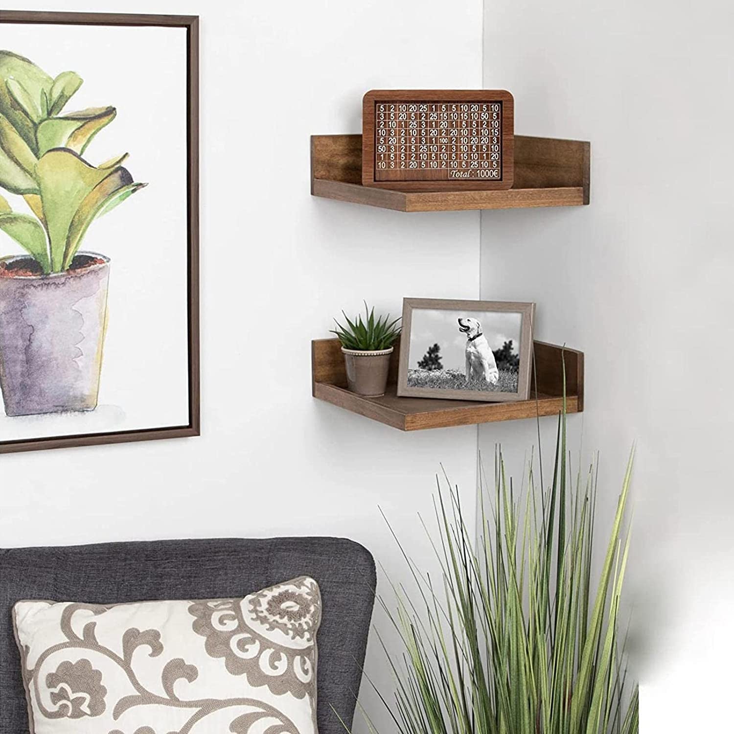 Medinės lentynos su augalais ir nuotraukomis, šiltos rudos spalvos, švelni tekstūra.