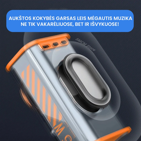 Belaidė Bluetooth garso kolonėlė – bendras vaizdas