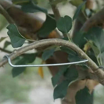 TreeForm™ metaliniai šakų fiksatoriai (20 vnt.) – naudojimo pavyzdys
