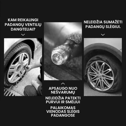 Padangos ventilio su dangteliu apsaugos nuo nešvarumų schema