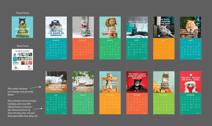 Linksmas 2024 metų katinų kalendorius
