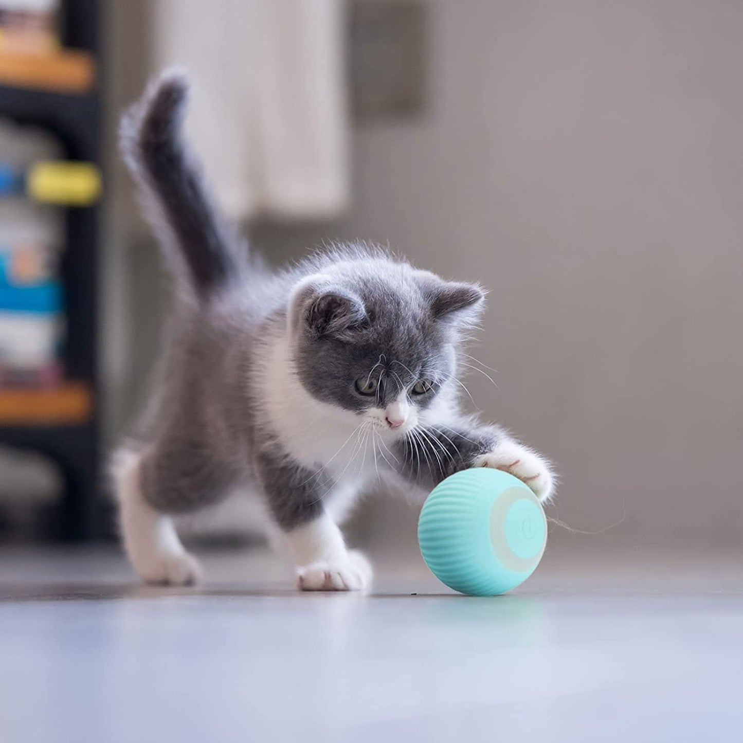 MeowMotion® -  išmanusis kamuoliukas katėms ir šunimis