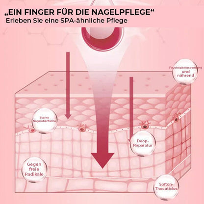 Nagų aliejaus įsigėrimo į nago plokštelę schema