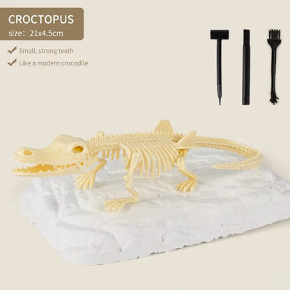 Kūrybinis rinkinys - "Priešistorinis dinozauras" – krokodilo skeletas su įrankiais