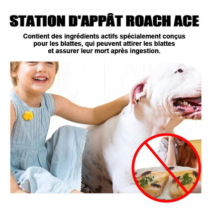 Aštuonių mėlynų tarakonų jauko dėžučių pakuotė