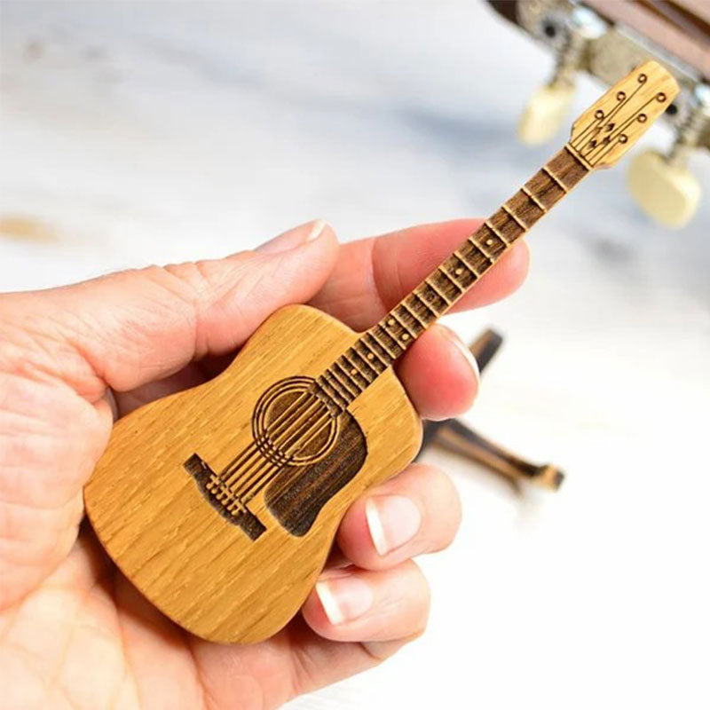 Gitaros mediatoriai su dėklu
