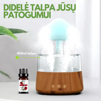 Grybo formos difuzorius – naudojimo pavyzdys