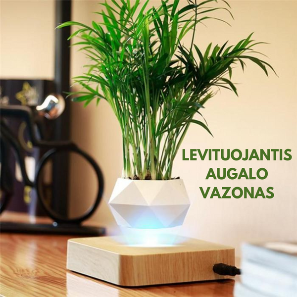 Levituojantis augalo vazonas – bendras vaizdas