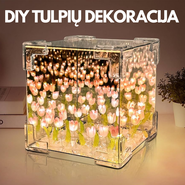Tulpių žydėjimo veidrodinė dėžutė – bendras vaizdas