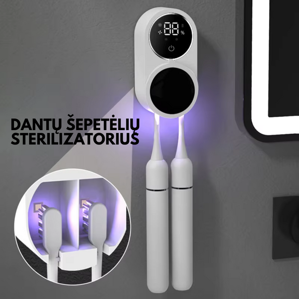 Dantų šepetėlių sterilizatorius – bendras vaizdas