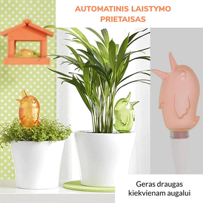 Oranžinis ir žalias paukščio formos laistymo įrenginys dviejuose vazonuose