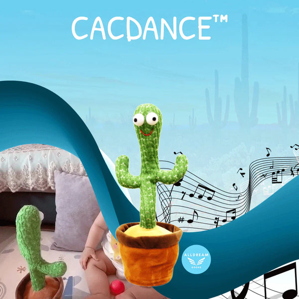 CACDANCE šokančio kaktuso produkto pristatymo vaizdas