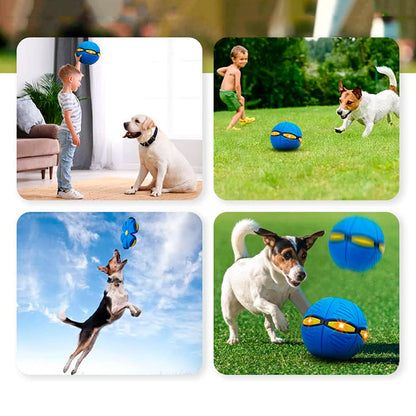 žaidimo su šunimis scenos