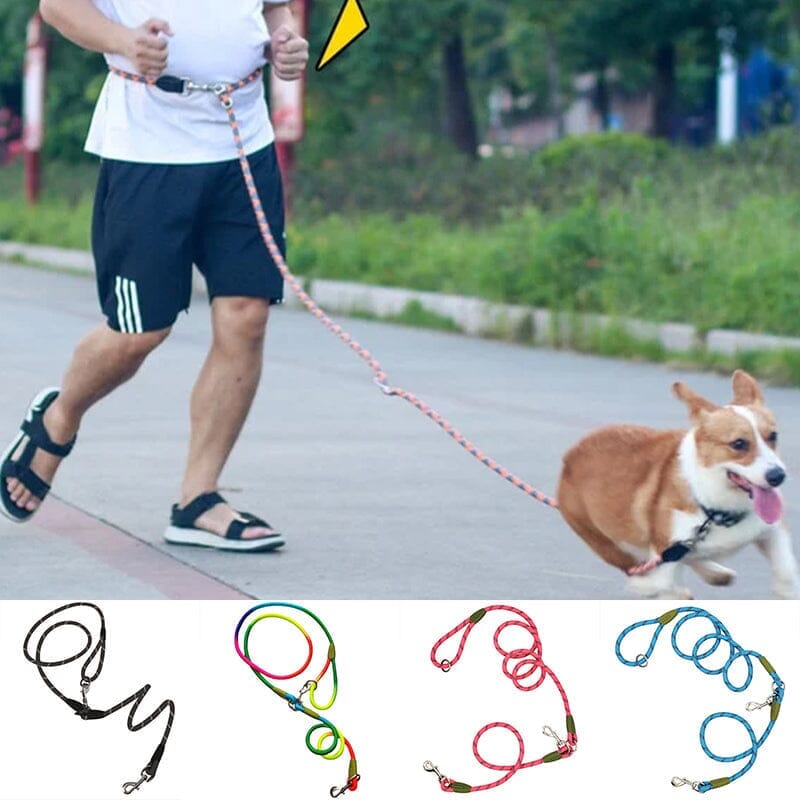 Laisvų rankų pavadėlis šunims