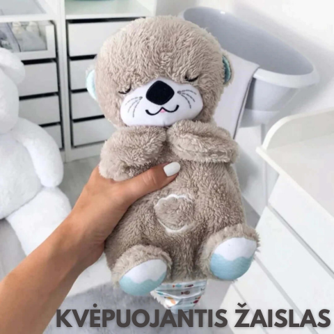 Atpalaiduojantis kvėpuojantis meškinas-migdukas – bendras vaizdas