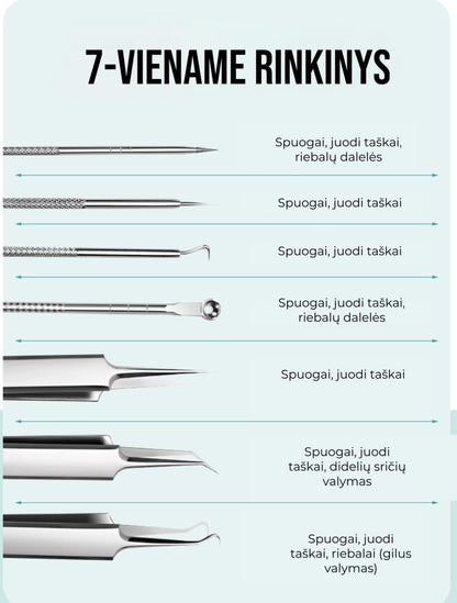 Profesionalus veido valymo rinkinys namams – šoninis vaizdas