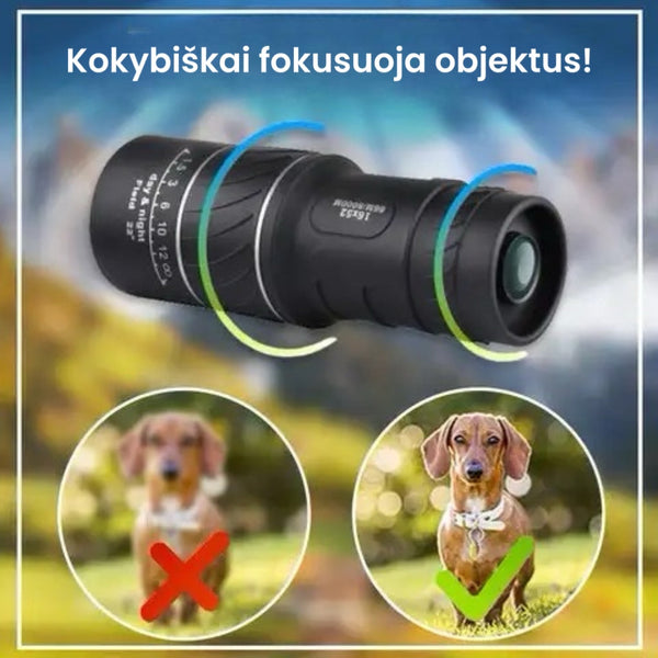 fokusavimo pavyzdys