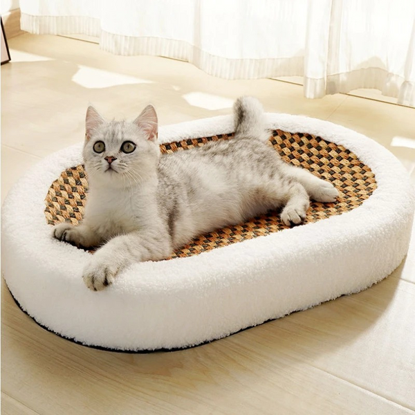 Katė guli ovaliame CattySleep draskyklės gulte