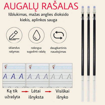 Rašiklio šerdelių ir išnykstančio rašalo veikimo schema