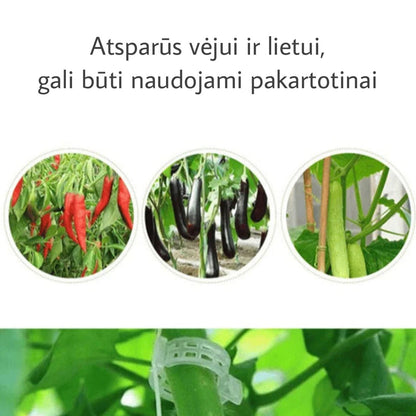 Atvertas žalias augalų spaustukas laikomas tarp pirštų