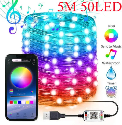5 m 50 LED girlianda su programėle