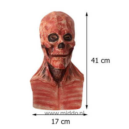 Kaukolės formos Helovino kaukė su 41 ir 17 cm matmenimis