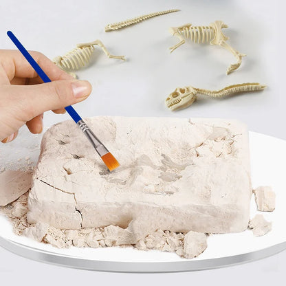 Kūrybinis rinkinys - "Priešistorinis dinozauras" – surinktas tiranozauro skeletas