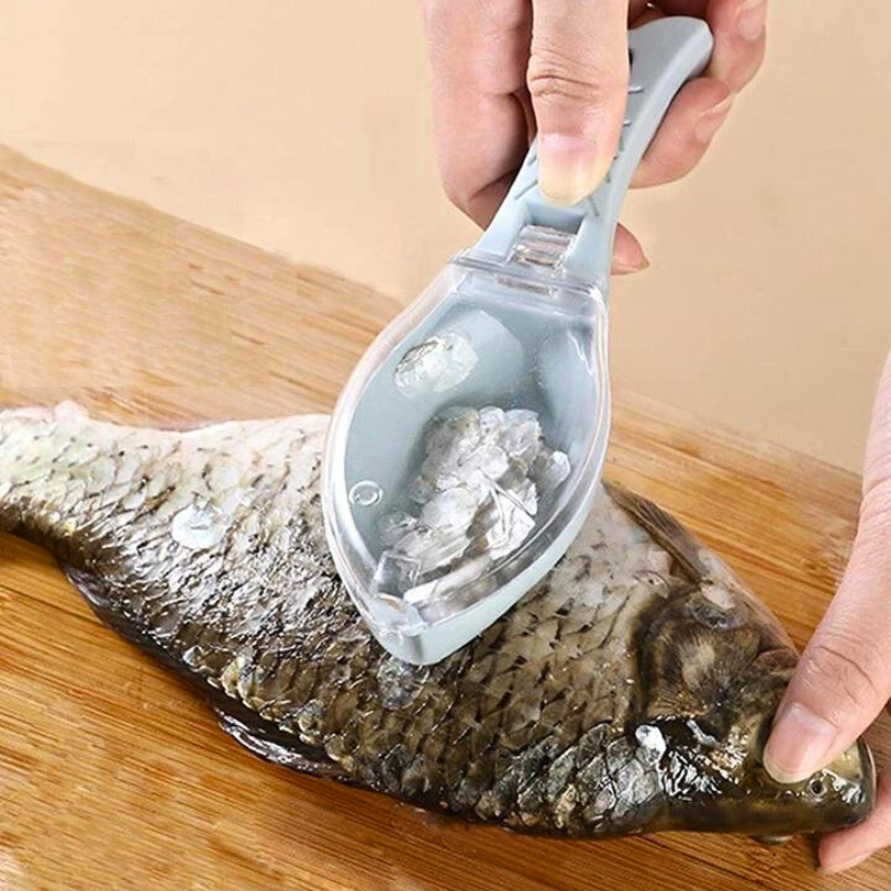 Žuvies žvynų skustuvas