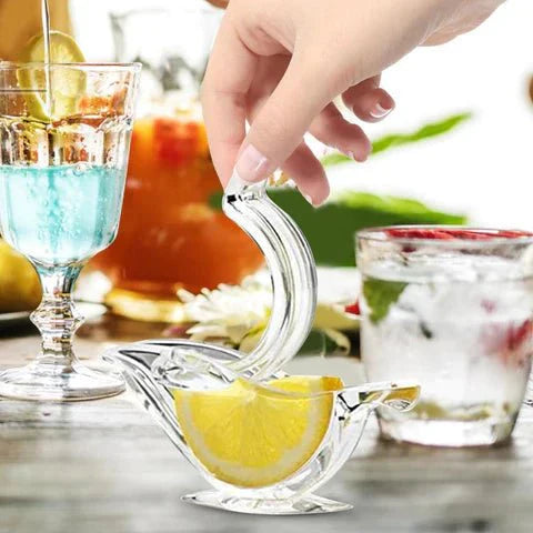 Citrusinių vaisių rankinė spaustuvė – bendras vaizdas