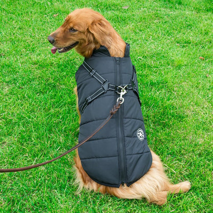 DogFashion™ neperšlampama žieminė striukė šunims – naudojimo pavyzdys