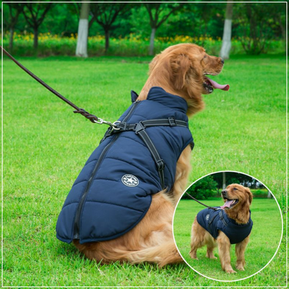 DogFashion™ neperšlampama žieminė striukė šunims – galimi variantai