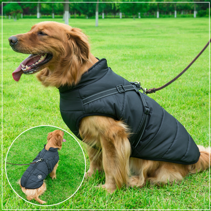 DogFashion™ neperšlampama žieminė striukė šunims – detalė stambiu planu